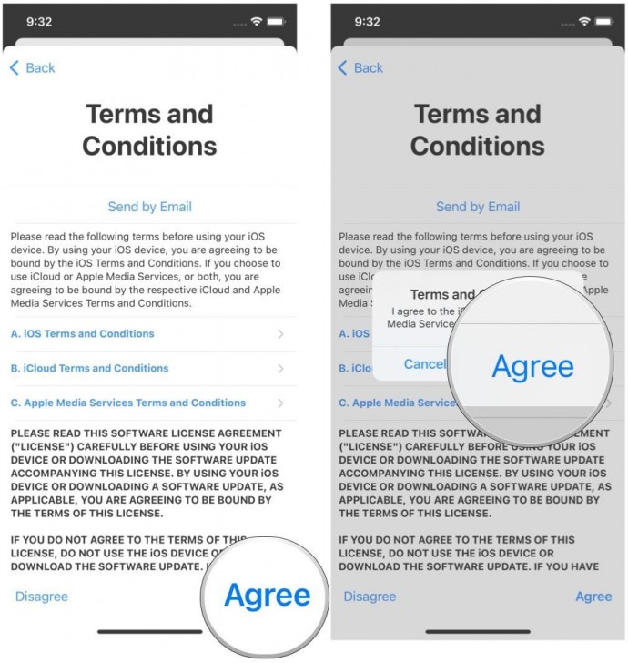Terms and Conditions