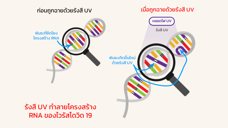 รังสี UV คืออะไร ? รู้จักกับรังสี UVA, UVB, UVC และ ทำไมรังสี UV ถึงใช้ฆ่าเชื้อโรคได้ ?