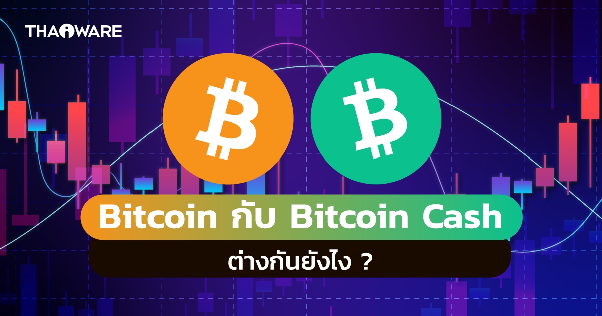 Bitcoin คืออะไร ? Bitcoin Cash คืออะไร ? และต่างกันอย่างไร ?
