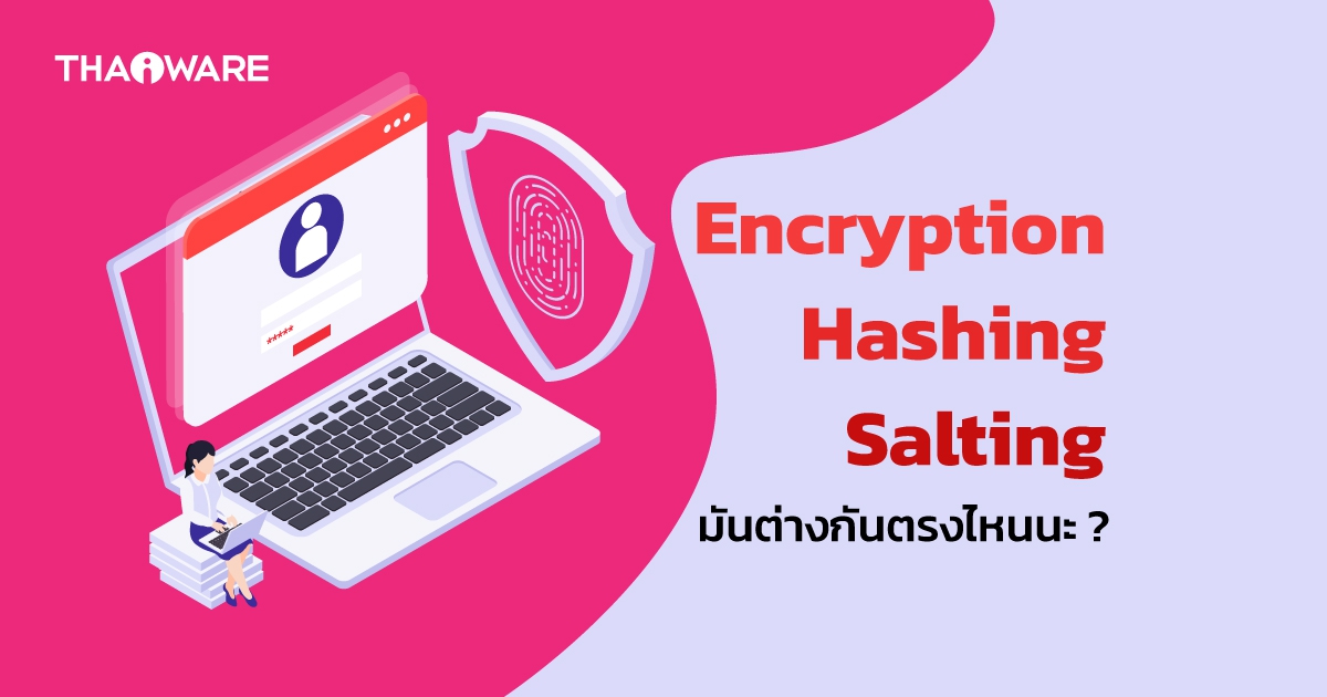 Encryption, Hashing คืออะไร ? และแตกต่างกันอย่างไร ? พร้อมรู้จักการ Salting ว่ามันคืออะไร ?