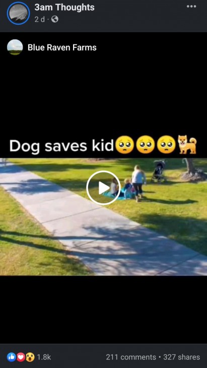 3AM Thoughts 3AM Thoughts