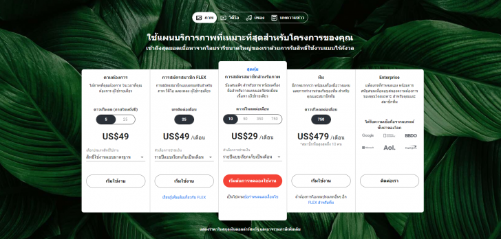 ตัวอย่างแพ็กเกจเครดิตซื้อภาพจากเว็บไซต์ ShutterStock