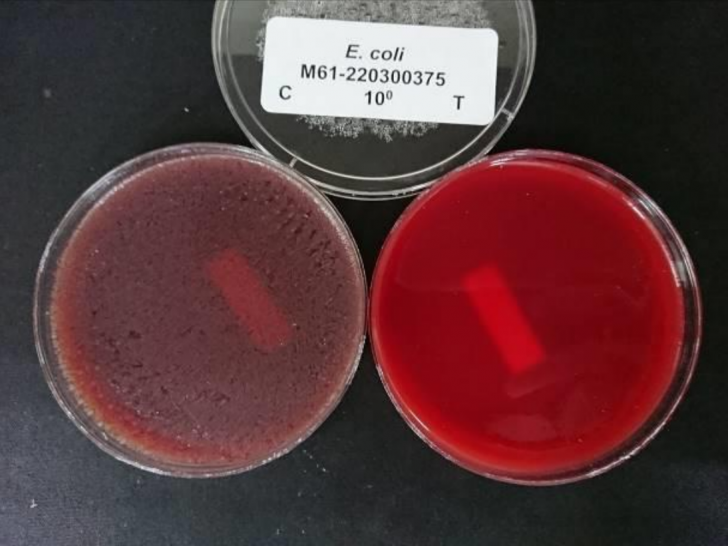 ประจุไฟฟ้าไอออน คืออะไร ? เกิดขึ้นได้อย่างไร ? มันช่วยกำจัดเชื้อโรค และกำจัดฝุ่น PM 2.5 ได้อย่างไร ?