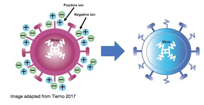 ประจุไฟฟ้าไอออน กำจัดฝุ่น PM 2.5 และฆ่าเชื้อโรคได้อย่างไร ? (How does Negative Ions remove PM 2.5 and kill virus ?) ประจุไฟฟ้าไอออน กำจัดฝุ่น PM 2.5 และฆ่าเชื้อโรคได้อย่างไร ? (How does Negative Ions remove PM 2.5 and kill virus ?)