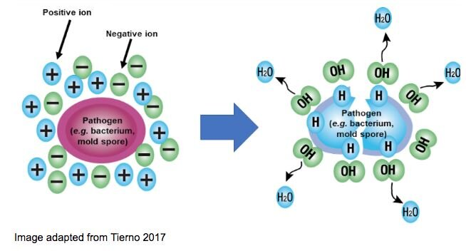 ประจุไฟฟ้าไอออน คืออะไร ? เกิดขึ้นได้อย่างไร ? มันช่วยกำจัดเชื้อโรค และกำจัดฝุ่น PM 2.5 ได้อย่างไร ? ประจุไฟฟ้าไอออน คืออะไร ? เกิดขึ้นได้อย่างไร ? มันช่วยกำจัดเชื้อโรค และกำจัดฝุ่น PM 2.5 ได้อย่างไร ?