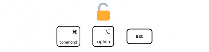 Cmd + Option + Esc (สำหรับ macOS) TeamViewer