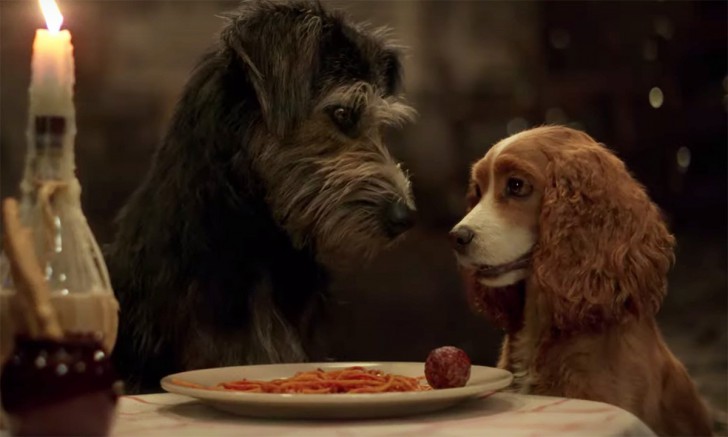หนัง ภาพยนตร์ Lady and the Tramp ค.ศ. 2019 (พ.ศ. 2562)
