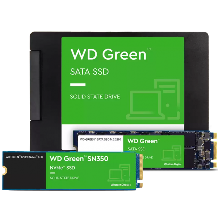 ฮาร์ดดิสก์ WD แต่ละสี แตกต่างกันอย่างไร ? ทั้ง WD สีเขียว สีน้ำเงิน สีดำ สีแดง สีม่วง และสีทอง