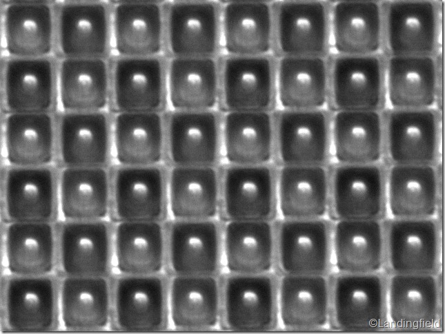 ภาพขยายของเซนเซอร์รับภาพ (Image Sensor Zoom) ภาพขยายของเซนเซอร์รับภาพ (Image Sensor Zoom)