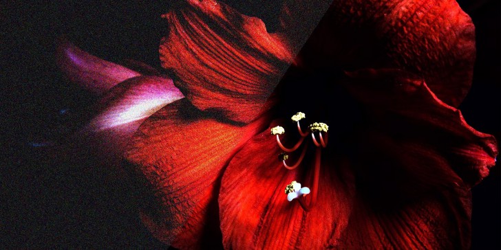 ตัวอย่างภาพที่มี Noise รบกวน