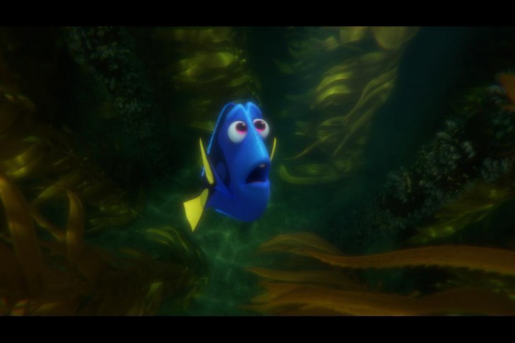 ภาพจากหนัง ภาพยนตร์ แอนิเมชัน Finding Dory ค.ศ. 2016 (พ.ศ. 2559)