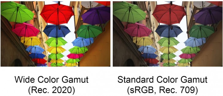 ขอบเขตสี (Color Gamut) ขอบเขตสี (Color Gamut)