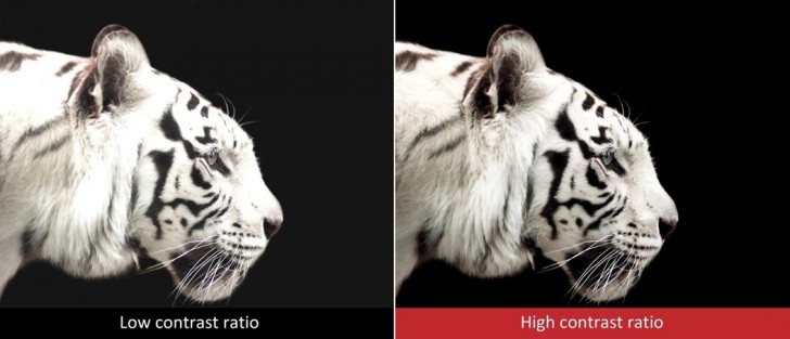 อัตราความคมชัด (Contrast Ratio)