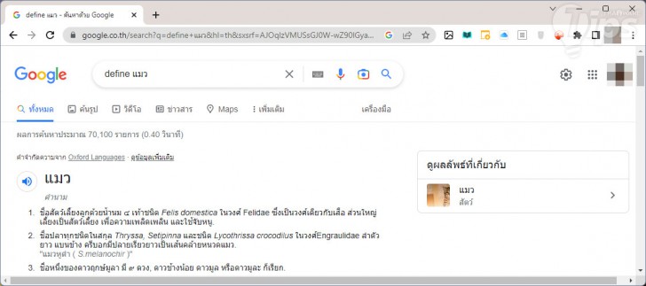 ค้นหานิยาม หรือคำจำกัดความ (Search for Definitions of Words)