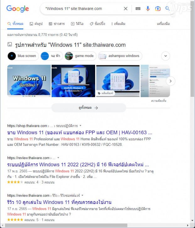 ค้นหาข้อมูลแบบเจาะจง ของเว็บไซต์ (Search for a Specific Website)