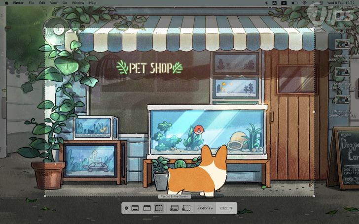 จับภาพหน้าจอ หรือบันทึกวิดีโอหน้าจอ (Take a Screen Capture or Screen Recorder)