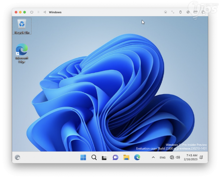 วิธีลงระบบปฏิบัติการ Windows บน macOS แบบฟรี ๆ