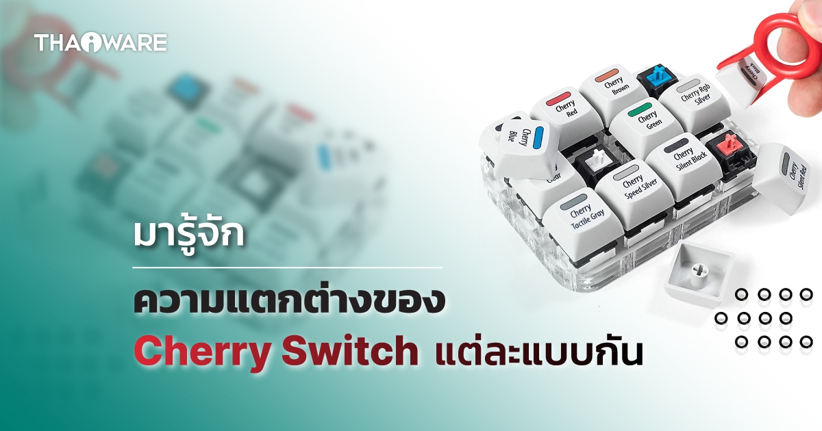 สวิตซ์ Cherry MX บน Keyboard คืออะไร ? และมีกี่ประเภท ? พร้อมข้อดี-ข้อเสีย ของมัน