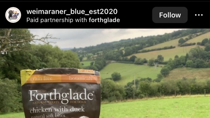 ลักษณะของโพสต์ที่ใช้ Paid Partnerships และ Branded Content (What is the different between Paid Partnerships and Branded Content ?)