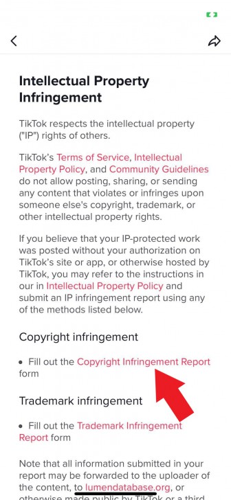 การละเมิดลิขสิทธิ์บน TikTok  (Piracy on TikTok)