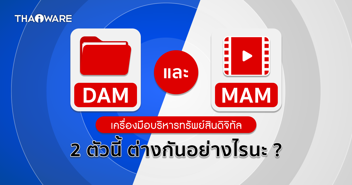 Digital Asset Management กับ Media Asset Management คืออะไร ? และต่างกันอย่างไร ?