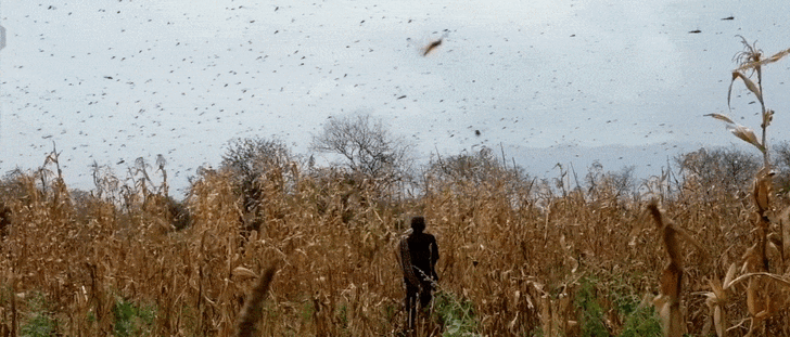 Agriculture 4.0 คืออะไร ? มารู้จักเทคโนโลยีเพื่อ การเกษตรแห่งอนาคต กัน