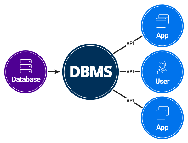 DBMS คืออะไร ? รวม 7 เหตุผลที่ธุรกิจขาดระบบจัดการฐานข้อมูลไม่ได้ ! DBMS คืออะไร ? รวม 7 เหตุผลที่ธุรกิจขาดระบบจัดการฐานข้อมูลไม่ได้ !