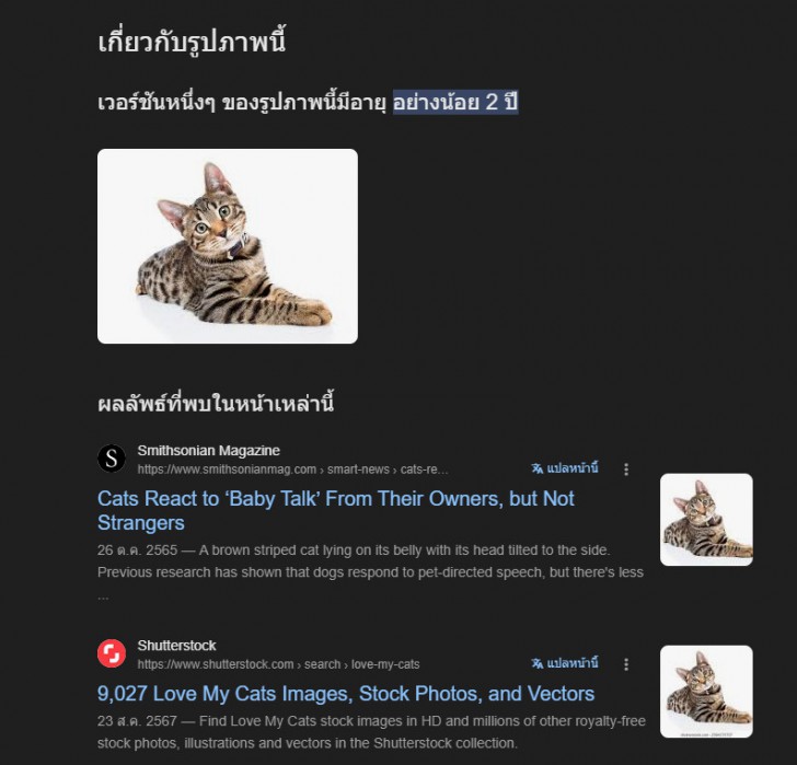 เครื่องมือ About this Image ของ Google