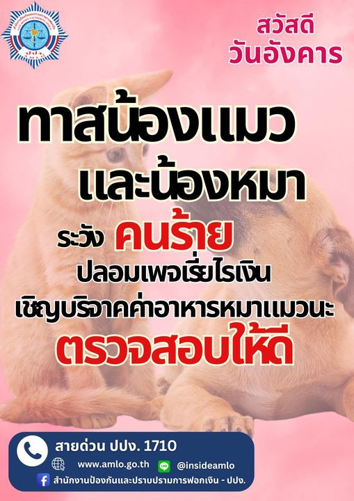 7 กลลวงออนไลน์ ที่พบเห็นได้เป็นประจำ 7 กลลวงออนไลน์ ที่พบเห็นได้เป็นประจำ