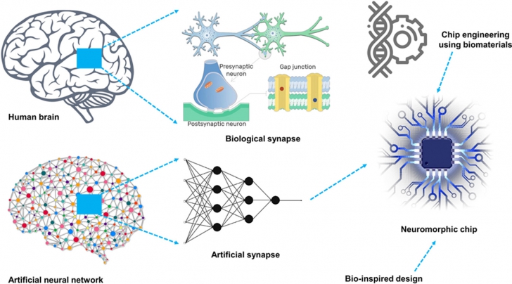 Neuromorphic Computing คืออะไร ? รู้จักเทคโนโลยีคอมพิวเตอร์ ที่เลียนแบบสมองมนุษย์