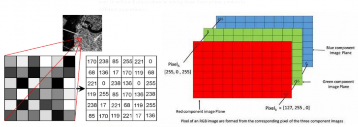 Image Recognition คืออะไร ? มาเข้าใจหลักการที่คอมพิวเตอร์ "จดจำภาพ" กัน