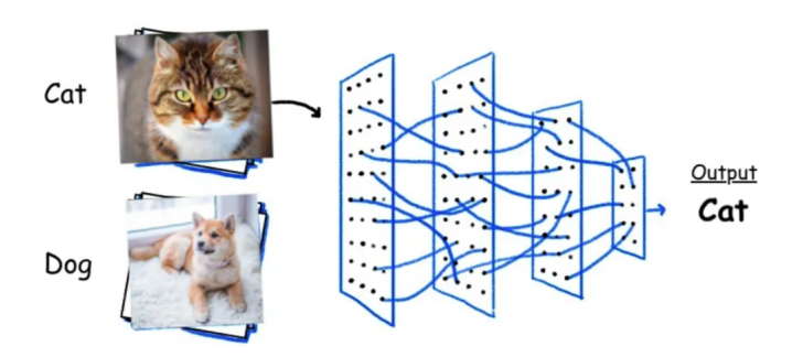 Image Recognition คืออะไร ? มาเข้าใจหลักการที่คอมพิวเตอร์ "จดจำภาพ" กัน