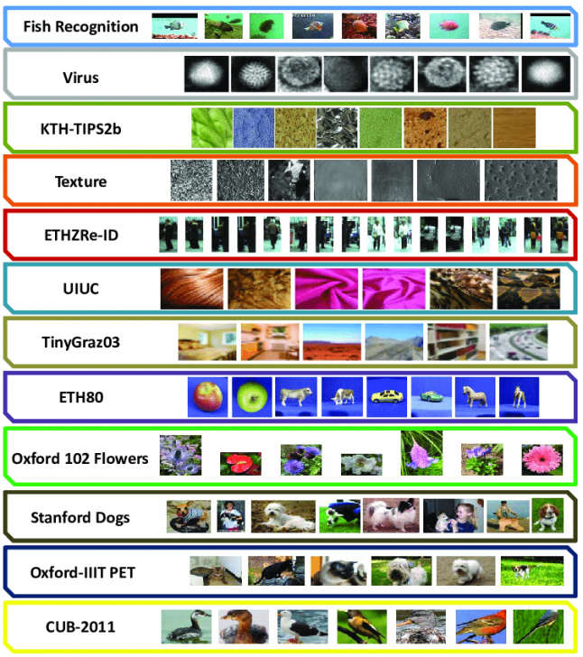 Image Recognition คืออะไร ? มาเข้าใจหลักการที่คอมพิวเตอร์ "จดจำภาพ" กัน