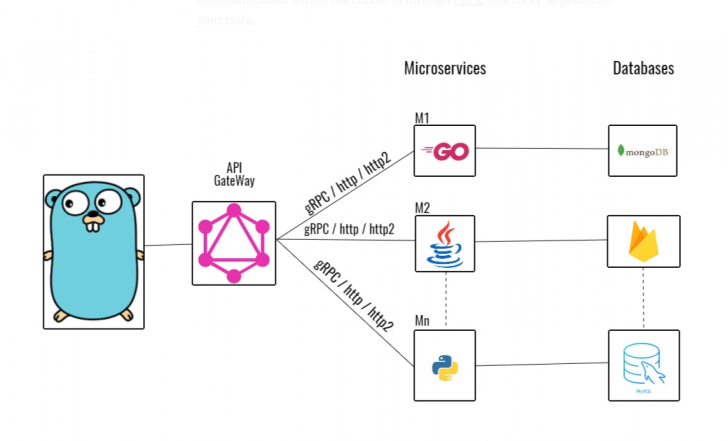 Golang หรือ ภาษา Go คืออะไร ? รู้จักภาษาโปรแกรม ยุคใหม่จาก Google