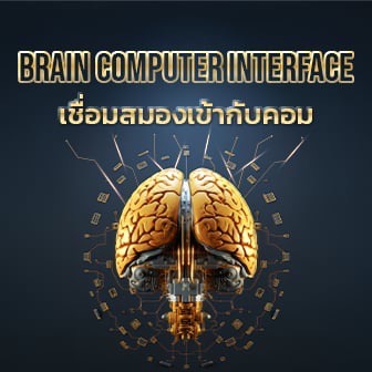 Brain Computer Interface คืออะไร ? เมื่อสมองของมนุษย์ กับเครื่องจักรเชื่อมต่อกัน