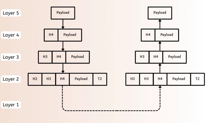 Payload ในด้านคอมพิวเตอร์ คืออะไร ? มีกี่ประเภท ? และทำงานอย่างไร ?