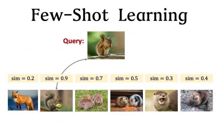 Few-Shot Learning คืออะไร ? รู้จักเทคนิค AI ที่เรียนรู้ได้จากข้อมูลเพียงไม่กี่ตัว Few-Shot Learning คืออะไร ? รู้จักเทคนิค AI ที่เรียนรู้ได้จากข้อมูลเพียงไม่กี่ตัว