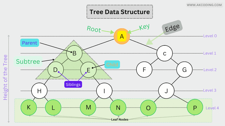 Node ใน AI คืออะไร ? สำคัญกับโมเดลของ AI อย่างไร ?