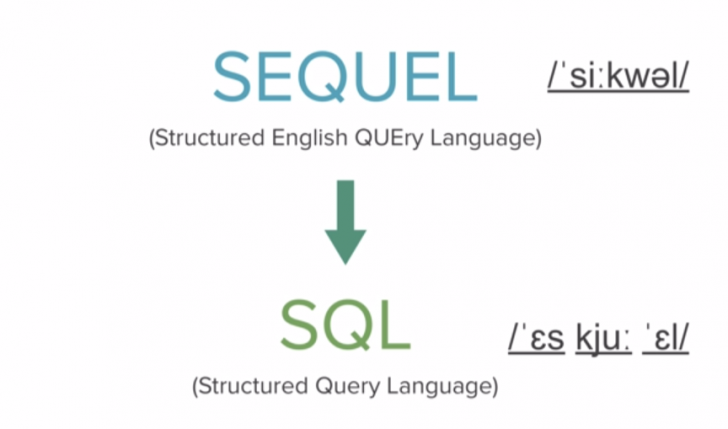 SQL กับ NoSQL คืออะไร ? เจาะลึกความหมาย 2 รูปแบบฐานข้อมูลที่ควรรู้ !
