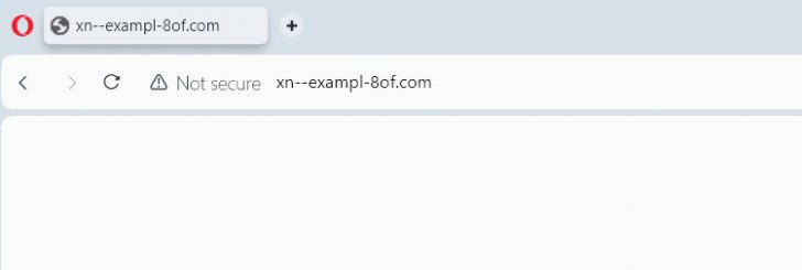 Homograph Attack คืออะไร ? รู้จักการโจมตีแบบโฮโมกราฟ ปลอมแปลง URL