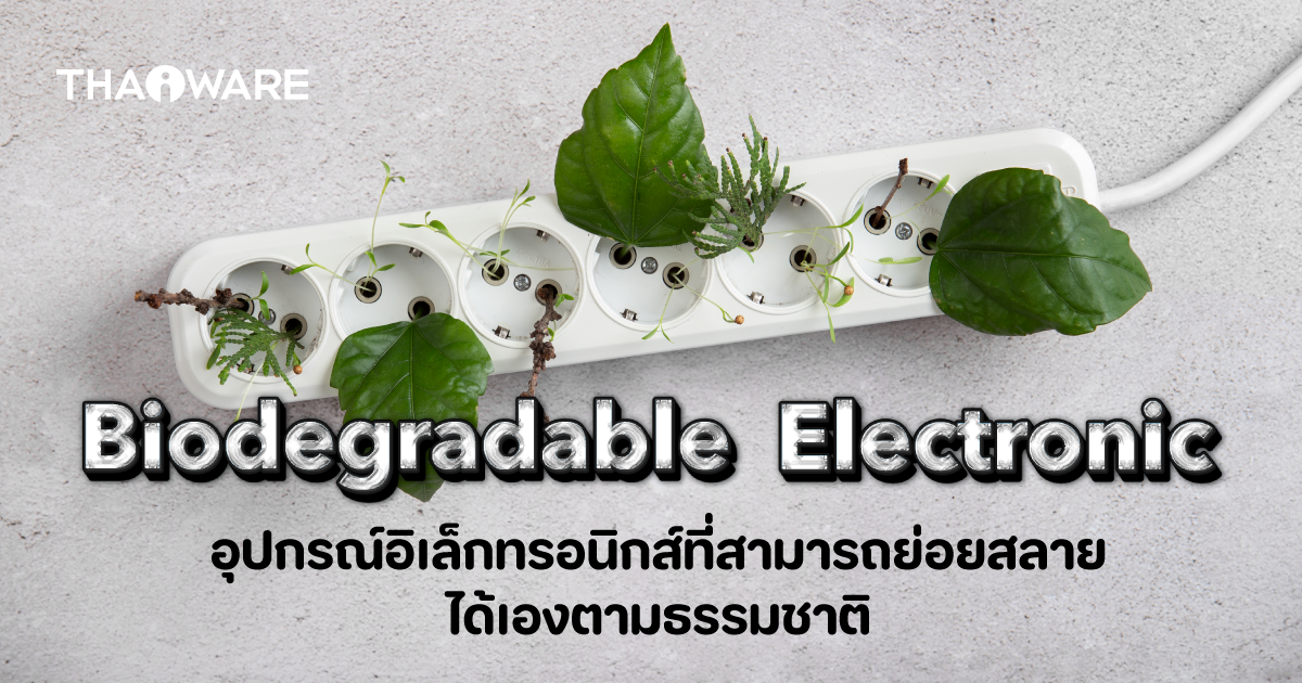 Biodegradable Electronic คืออะไร ? จะเป็นอย่างไรหากขยะอิเล็กทรอนิกส์ย่อยสลายได้เองตามธรรมชาติ ?