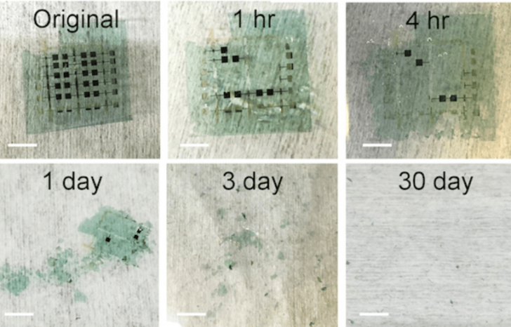Biodegradable Electronic คืออะไร ? จะเป็นอย่างไรหากขยะอิเล็กทรอนิกส์ย่อยสลายได้เองตามธรรมชาติ ? Biodegradable Electronic คืออะไร ? จะเป็นอย่างไรหากขยะอิเล็กทรอนิกส์ย่อยสลายได้เองตามธรรมชาติ ?