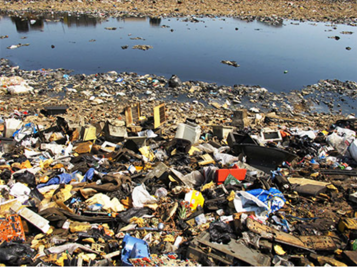 Biodegradable Electronic คืออะไร ? จะเป็นอย่างไรหากขยะอิเล็กทรอนิกส์ย่อยสลายได้เองตามธรรมชาติ ? Biodegradable Electronic คืออะไร ? จะเป็นอย่างไรหากขยะอิเล็กทรอนิกส์ย่อยสลายได้เองตามธรรมชาติ ?