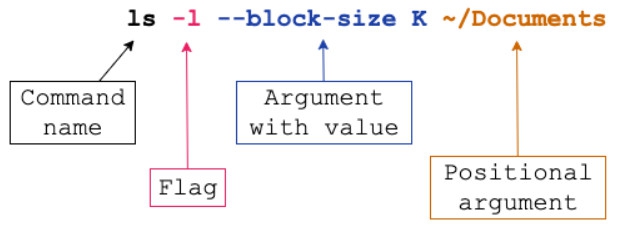CLI คืออะไร ? Command-Line Interface คืออะไร ? พร้อมประวัติความเป็นมา