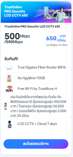 แพ็กเกจ TrueOnline Pro Security